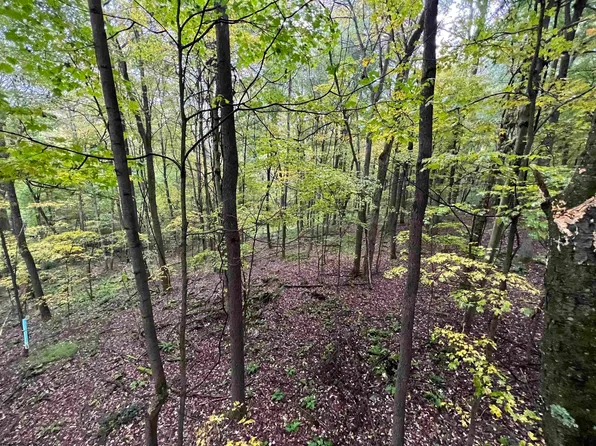 21 Snake Hill Rd, Morgantown, WV 26508