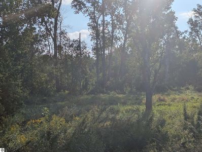 N/a Andrews Rd, Tawas City, MI, 48763