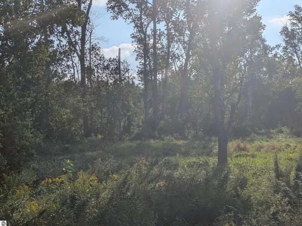 N/a Andrews Rd, Tawas City, MI 48763