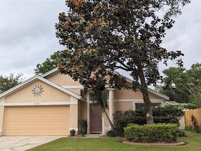 4514 Clarksdale Ct, Orlando, FL, 32812