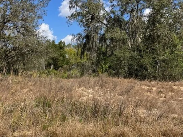 2824 W Beufort Rd, Avon Park, FL 33825