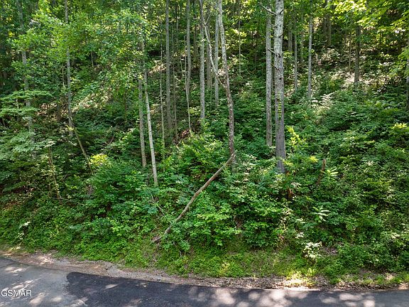 2nd image of 15 Emerald Springs Loop Lot 15