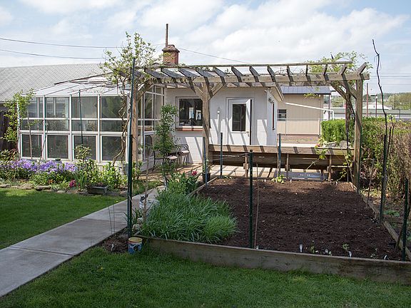 Raised garden in backyard