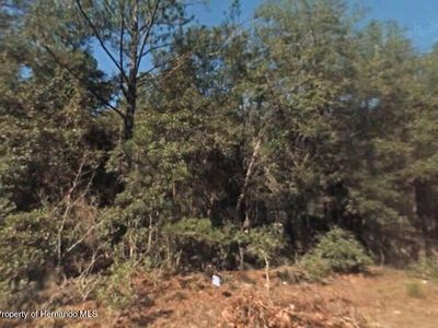 9466 N Irondale Rd, Citrus Springs, FL, 34434
