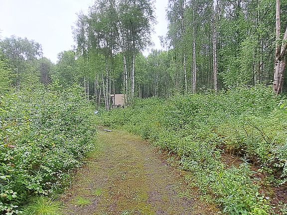 5th image of 32687 S Mount Hunter Dr