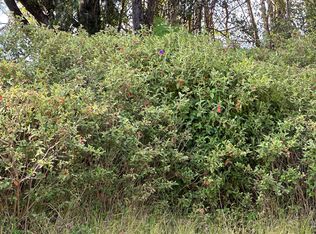 Niihau Rd LOT 708, Pahoa, HI 96778