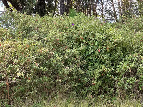 Niihau Rd Lot 708, Pahoa, HI 96778