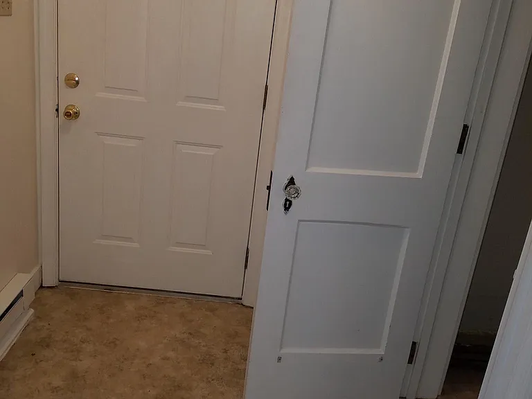 Entry way/hall closet.