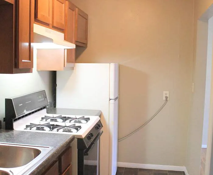 476 Herschel St. — Photo 13