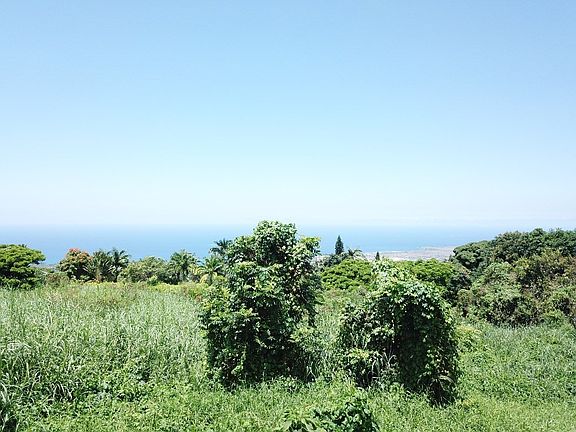 2nd image of LOT 33 Lot 33
