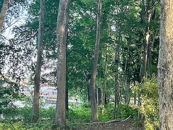 Community Waking Path