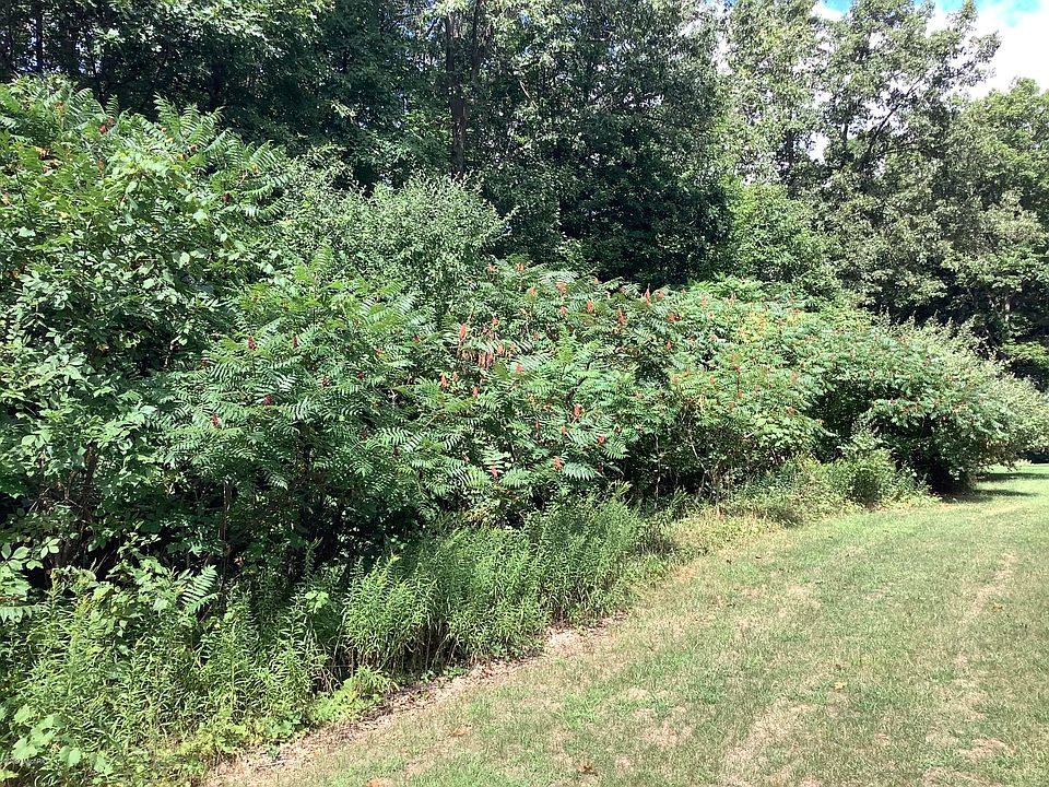 1st image of 3320 Palmer Dr