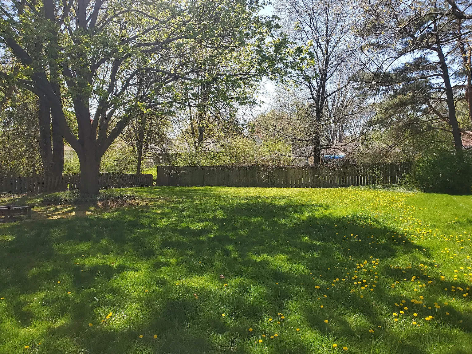 3 bed, 1.5 bath, 1700 sqft, $2,600 — Photo 3