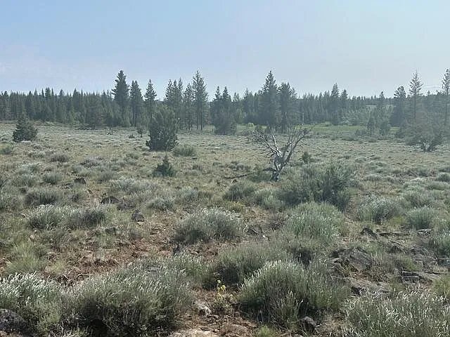 Nagel Ridge Way photo 1