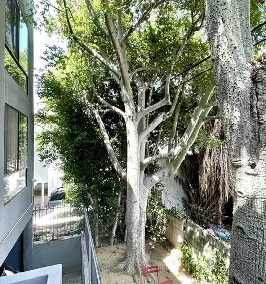 922 N Hudson Ave #10 — Photo 22