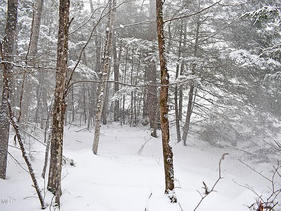 5th image of 37 Carriage Knolls Road