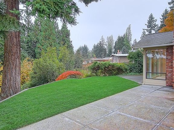 View of backyard patio