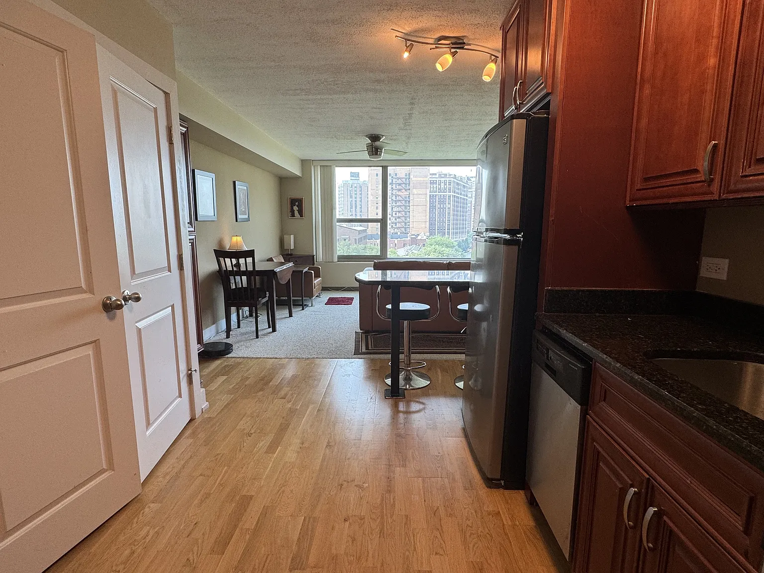 3600 North Lake Shore Drive - 716 — Photo 3
