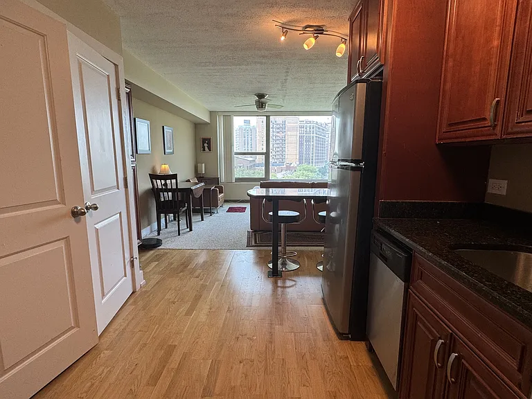3600 N Lake Shore Dr #716 — Photo 3