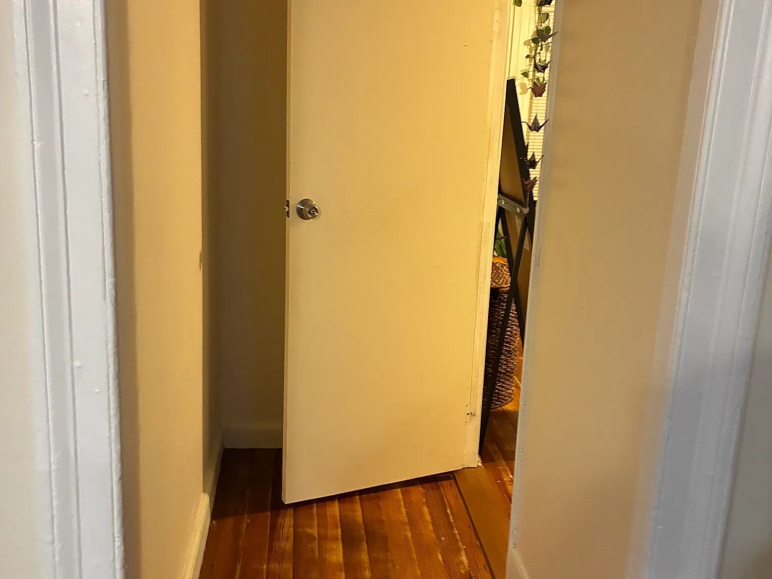 2 bed, 1200 sqft, $1,300 — Photo 3
