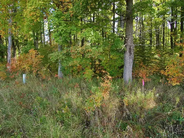 5701 S 25th Rd, Boon, MI 49618