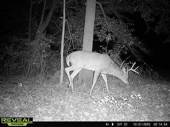 4th image of 1701 SW Moseley Hall Rd