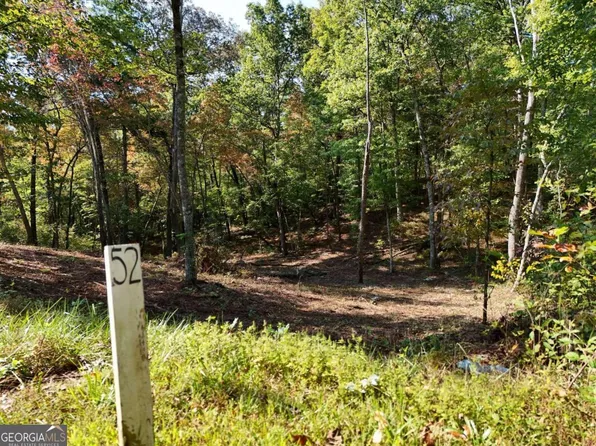 LOT 52 Hilton Dr, Ellijay, GA 30540