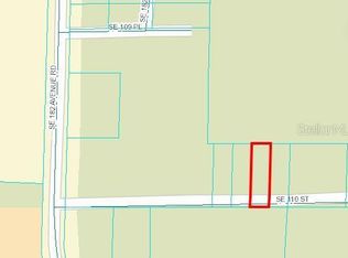 SE 110th St LOT 21, Ocklawaha, FL 32179