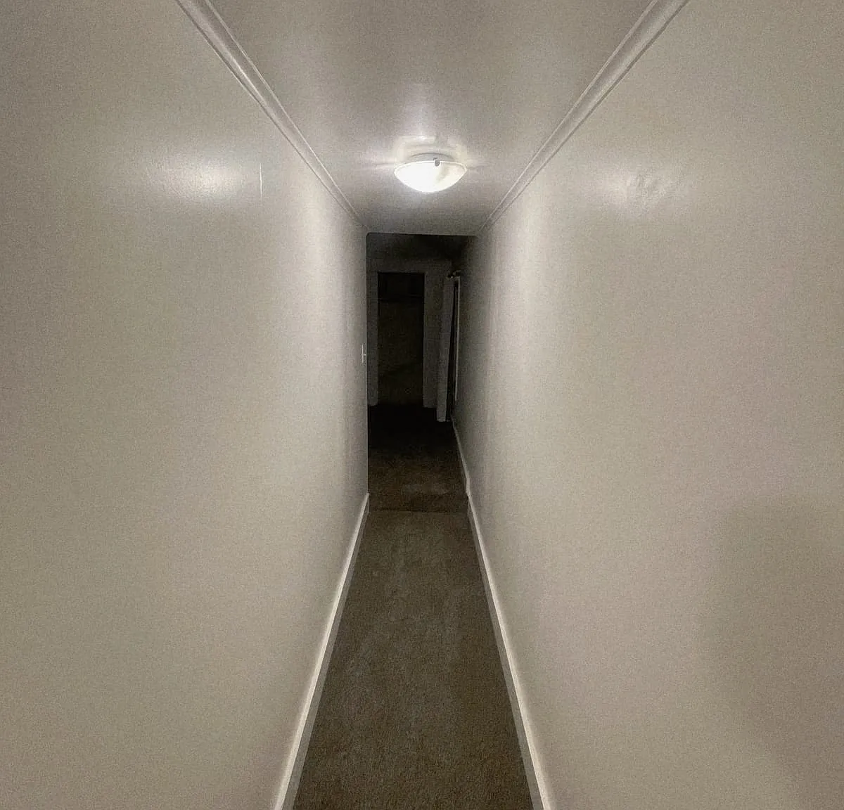 3 bed, 1.5 bath, 1074 sqft, $3,150 — Photo 4