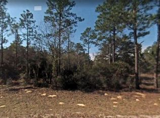 10130 N Quarry Dr, Citrus Springs, FL 34434