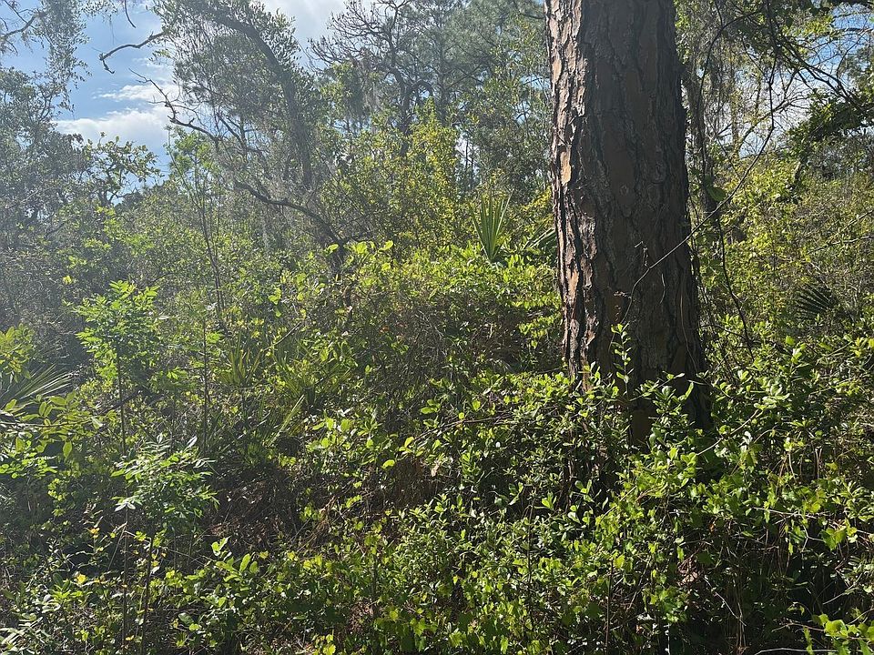 2nd image of 229 Caswell Lane