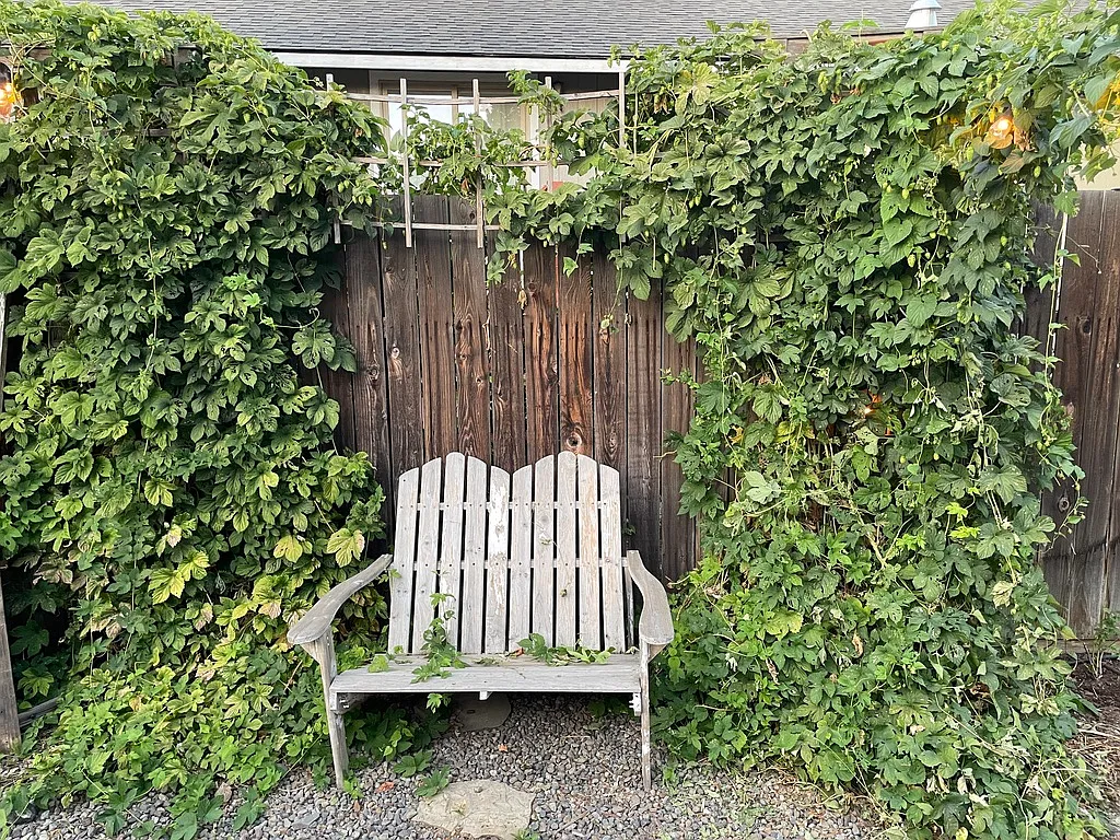 3 bed, 1324 sqft, $2,850 — Photo 4