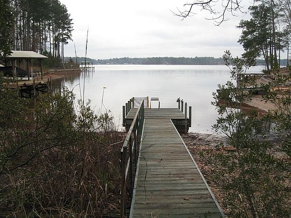 Lake view
