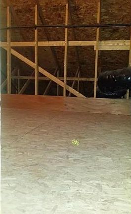 5th image of 1320 Silo Dr