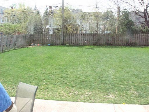 back yard