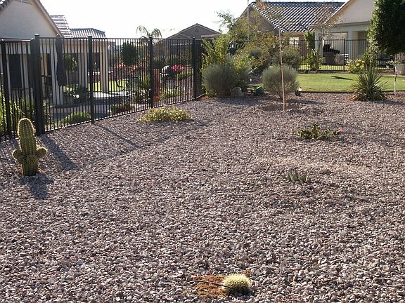 Low Maintenance Back yard