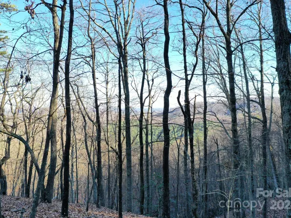 0 Fire Tower Rd #17, Bostic, NC 28018