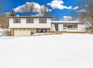 14136 Wacousta Rd, Grand Ledge, MI 48837