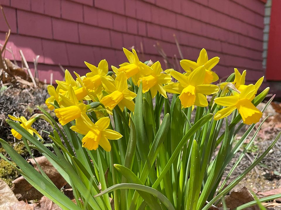 50 Pleasant Street, Marlborough, NH 03455 Zillow