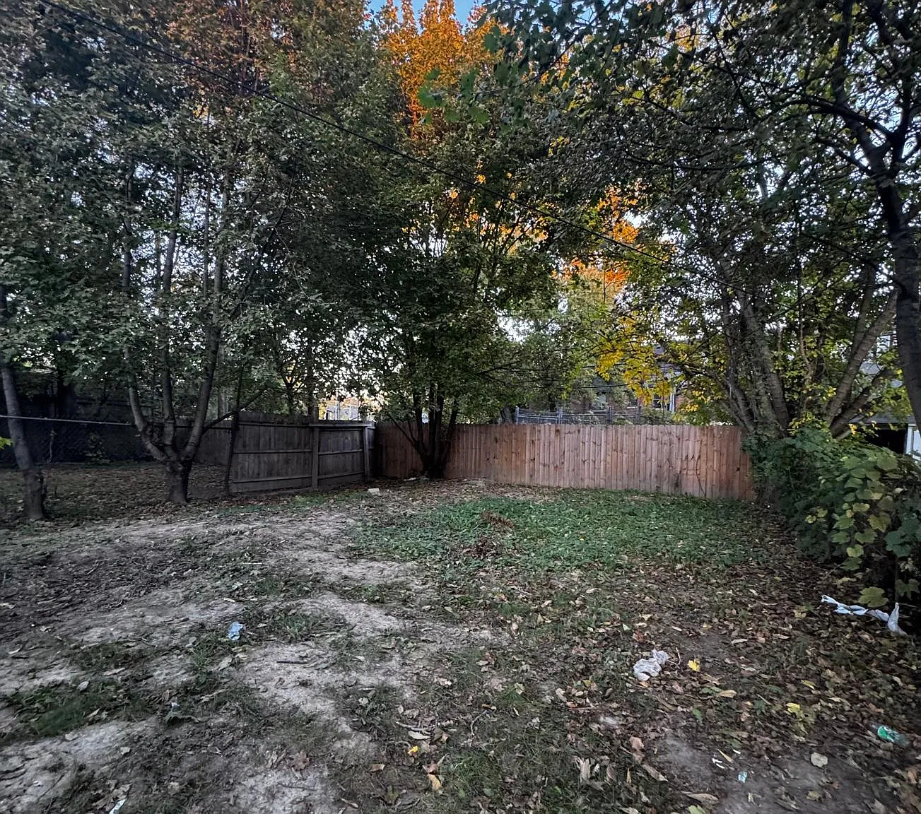 13930 Tuller Street - 1 — Photo 2