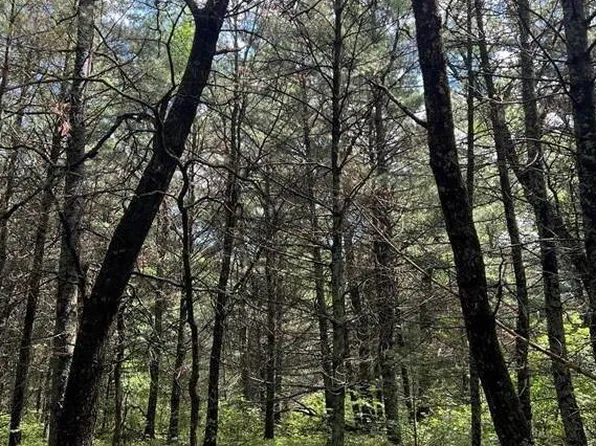 24642 McLain Rd, Grantsburg, WI 54840