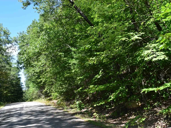 Isaax Fox Drive #11/5/2, Campton, NH 03223