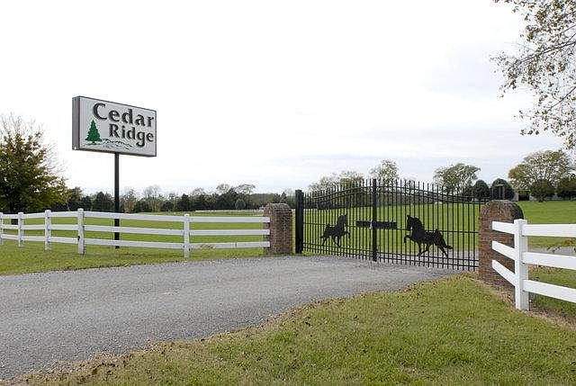 1st image of 3119 Highway 231 N
