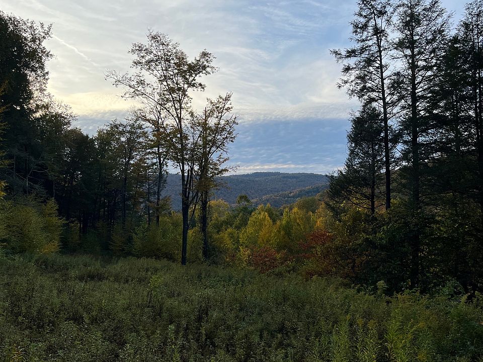 626 Park Hill Rd, Downsville, NY 13755 Zillow