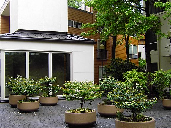 Courtyard at Clay St. Commons