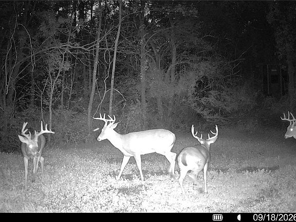 4th image of Groves Hill Rd