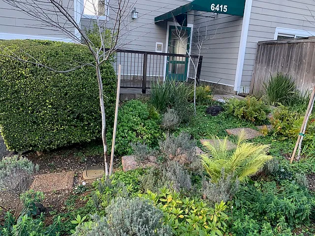 2 bed, 1200 sqft, $3,950 — Photo 2