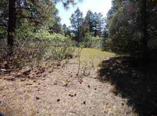 73 Twincreek Cir, Pagosa Springs, CO 81147