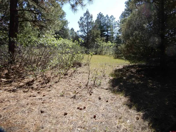 73 Twincreek Circle, Pagosa Springs, CO 81147