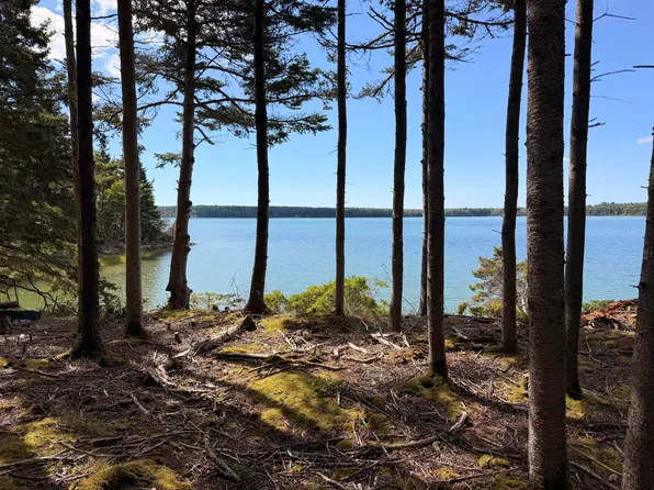 119 Flye Point Road, Brooklin, ME 04616